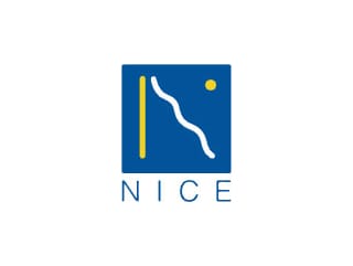 Nice Logo