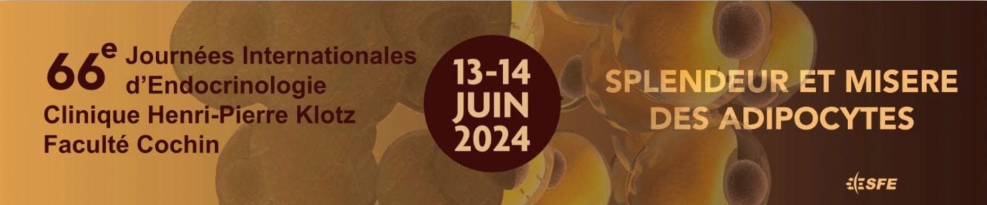 Capture d’écran 2024-03-18 174012