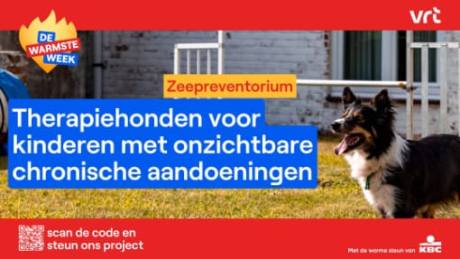 A black and white therapy dog stands outside on grass near agility equipment. Text promotes therapy dogs for children with invisible chronic illnesses.